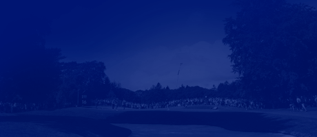 Link Component Background